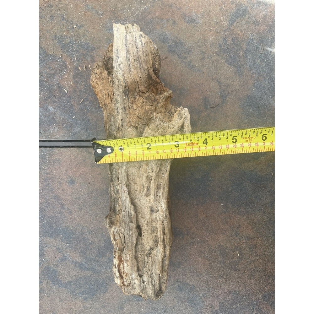 Natural Driftwood for Plants Terrarium Taxidermy Art Projects - Picture 4 of 4